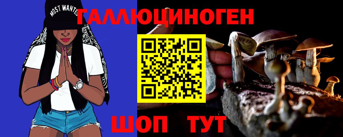Донецк  наркошоп  Вход с VPN  Галлюциногенные грибы Psilocybe 